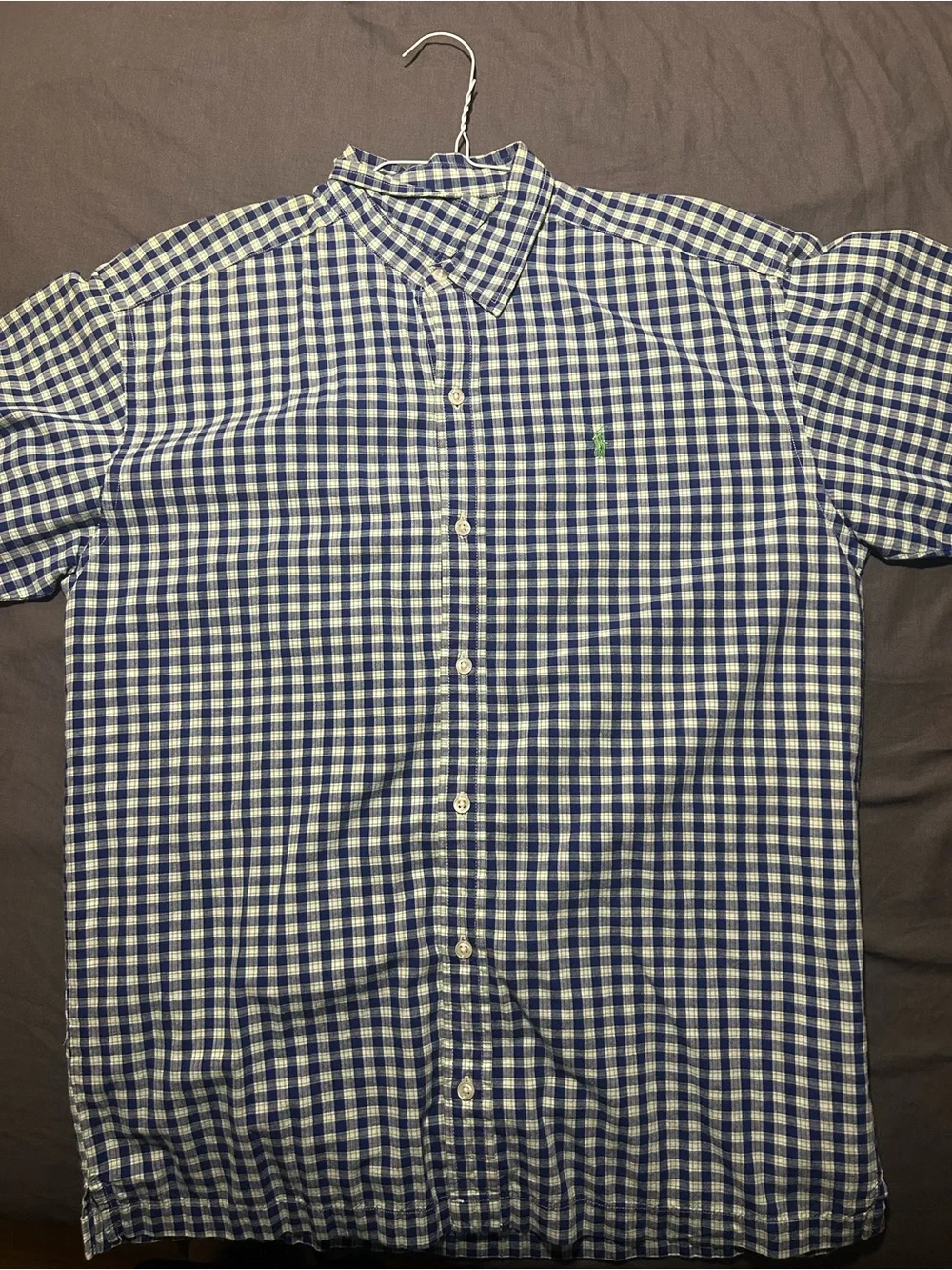 Ralph Lauren Blue and White Check Button-Down Shirt with Green Polo Logo